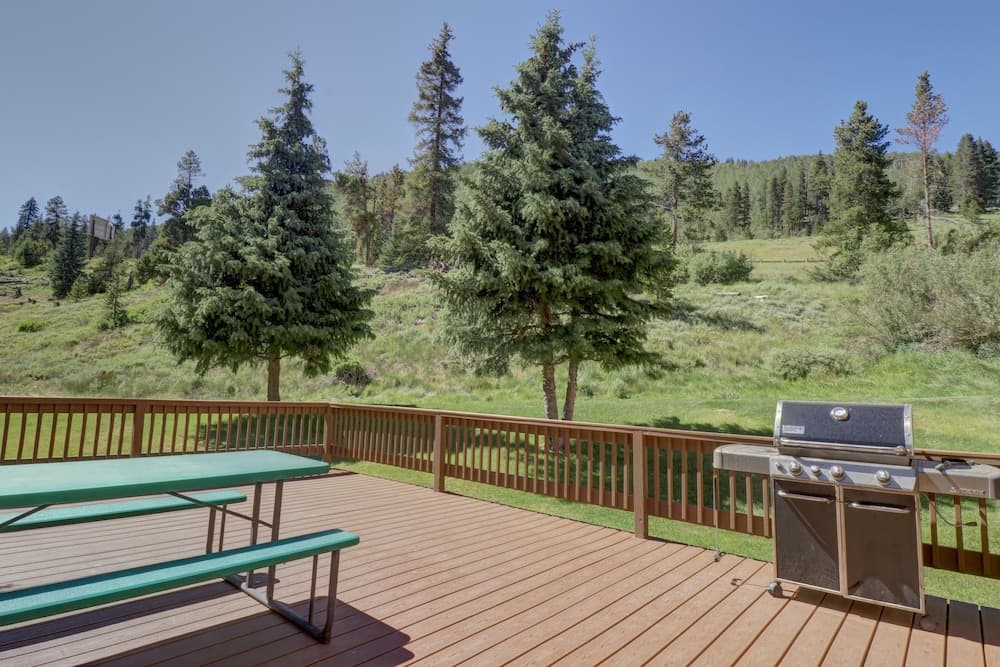 BBQ/picnic area