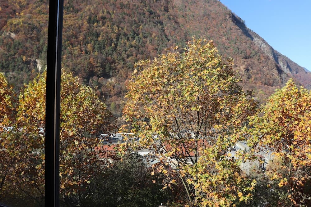Mountain view