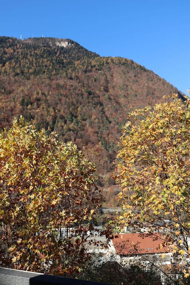 Mountain view