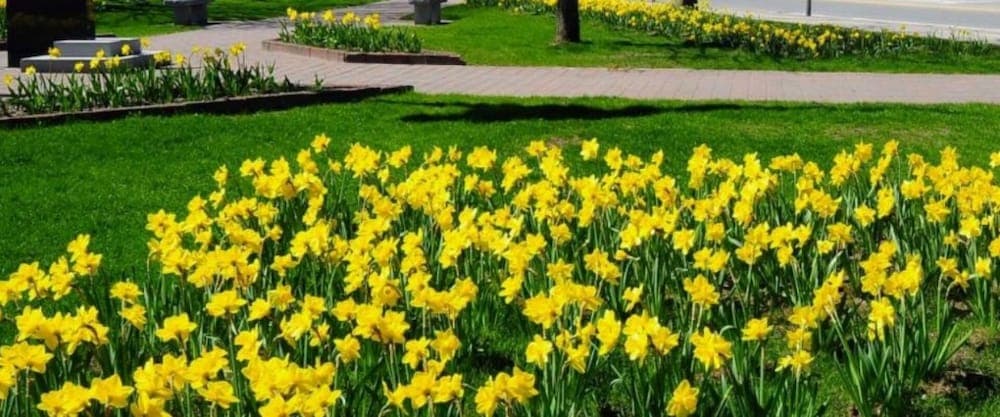 Point of interest