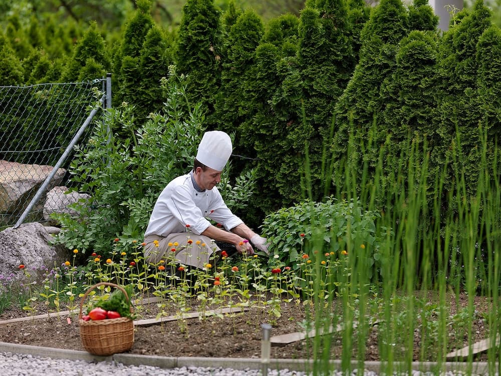 Garden